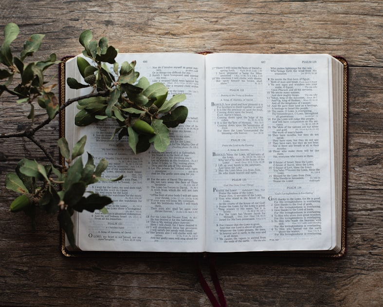 Nutrition Tips from the Bible